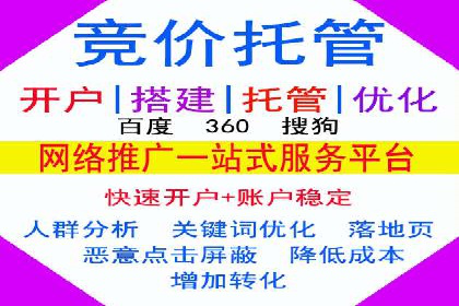 某行业领先企业背后的百度推广代理商策略